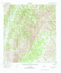 Download a high-resolution, GPS-compatible USGS topo map for Unalakleet C-3, AK (1965 edition)