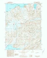 Download a high-resolution, GPS-compatible USGS topo map for Unalaska C-3, AK (1989 edition)