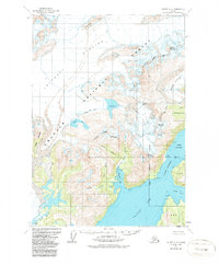 Topo map Valdez A-8 Alaska