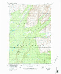 Download a high-resolution, GPS-compatible USGS topo map for Valdez D-2, AK (1980 edition)