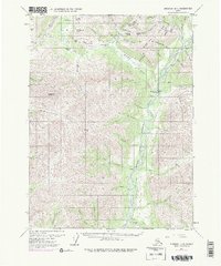 Download a high-resolution, GPS-compatible USGS topo map for Wiseman B-1, AK (1977 edition)