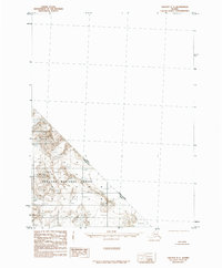 Download a high-resolution, GPS-compatible USGS topo map for Yakutat C-1, AK (1985 edition)