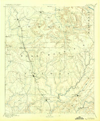 1892 Map of Cullman, 1924 Print