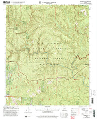Download a high-resolution, GPS-compatible USGS topo map for Bee Branch, AL (2003 edition)