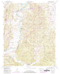 Download a high-resolution, GPS-compatible USGS topo map for Bishop, AL (1984 edition)