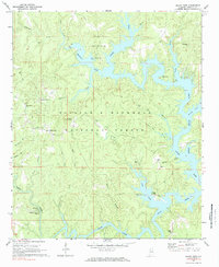 Download a high-resolution, GPS-compatible USGS topo map for Black Pond, AL (1984 edition)