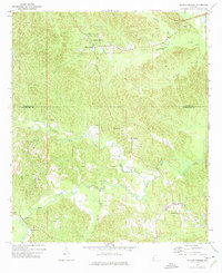 Download a high-resolution, GPS-compatible USGS topo map for Bladon Springs, AL (1975 edition)