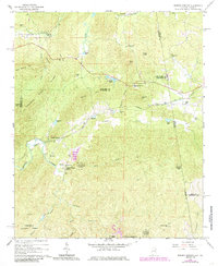 Download a high-resolution, GPS-compatible USGS topo map for Borden Springs, AL (1985 edition)
