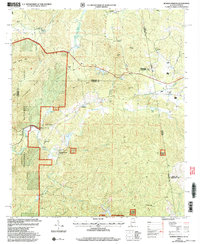 Download a high-resolution, GPS-compatible USGS topo map for Borden Springs, AL (2004 edition)