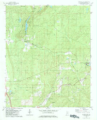 Download a high-resolution, GPS-compatible USGS topo map for Bounds Lake, AL (1984 edition)