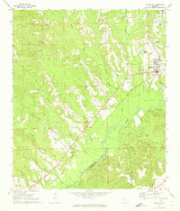 Download a high-resolution, GPS-compatible USGS topo map for Brantley, AL (1973 edition)