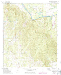 Download a high-resolution, GPS-compatible USGS topo map for Brewersville, AL (1986 edition)