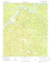 historical topo map of Tuscaloosa County, AL in 1974
