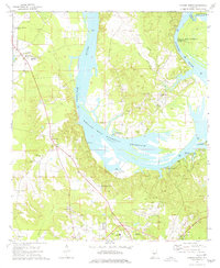 Download a high-resolution, GPS-compatible USGS topo map for Camden North, AL (1977 edition)