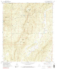 Download a high-resolution, GPS-compatible USGS topo map for Cheaha Mountain, AL (1988 edition)