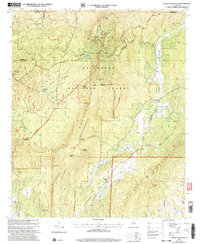 Download a high-resolution, GPS-compatible USGS topo map for Cheaha Mountain, AL (2004 edition)