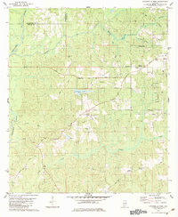 Download a high-resolution, GPS-compatible USGS topo map for Citronelle West, AL (1984 edition)