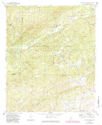 Download a high-resolution, GPS-compatible USGS topo map for Clairmont Springs, AL (1985 edition)