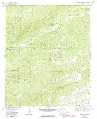 Download a high-resolution, GPS-compatible USGS topo map for Clairmont Springs, AL (1989 edition)