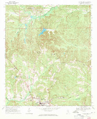 Download a high-resolution, GPS-compatible USGS topo map for Clayton North, AL (1971 edition)