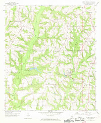 Download a high-resolution, GPS-compatible USGS topo map for Coffee Springs, AL (1969 edition)