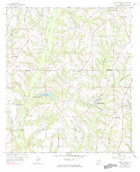 Download a high-resolution, GPS-compatible USGS topo map for Coffee Springs, AL (1984 edition)