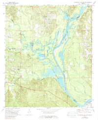 Download a high-resolution, GPS-compatible USGS topo map for Coffeeville Lock And Dam, AL (1989 edition)