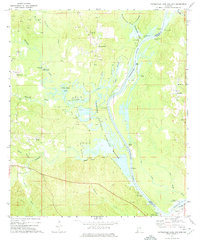 Download a high-resolution, GPS-compatible USGS topo map for Coffeeville Lock And Dam, AL (1975 edition)