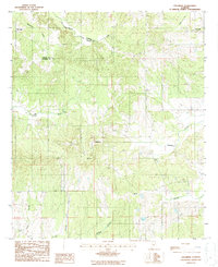 Download a high-resolution, GPS-compatible USGS topo map for Collirene, AL (1987 edition)