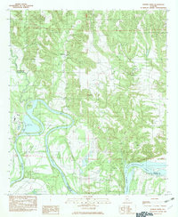 Download a high-resolution, GPS-compatible USGS topo map for Durant Bend, AL (1982 edition)