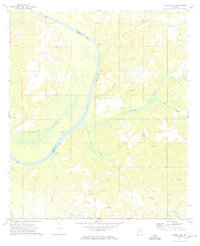 Download a high-resolution, GPS-compatible USGS topo map for Flynns Lake, AL (1974 edition)