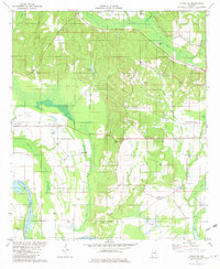 Download a high-resolution, GPS-compatible USGS topo map for Forester, AL (1982 edition)