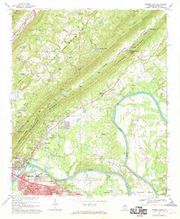 preview thumbnail of historical topo map of Etowah County, AL in 1967