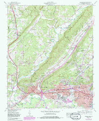 preview thumbnail of historical topo map of Etowah County, AL in 1959