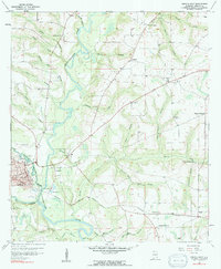 Download a high-resolution, GPS-compatible USGS topo map for Geneva East, AL (1991 edition)