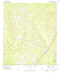 Download a high-resolution, GPS-compatible USGS topo map for Georgiana East, AL (1973 edition)