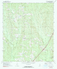 Download a high-resolution, GPS-compatible USGS topo map for Georgiana West, AL (1991 edition)
