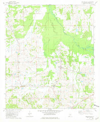 preview thumbnail of historical topo map of Lowndes County, AL in 1981