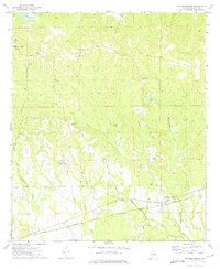 preview thumbnail of historical topo map of Russell County, AL in 1973