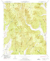 Download a high-resolution, GPS-compatible USGS topo map for Hollytree, AL (1974 edition)