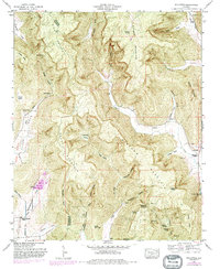 Download a high-resolution, GPS-compatible USGS topo map for Hollytree, AL (1982 edition)