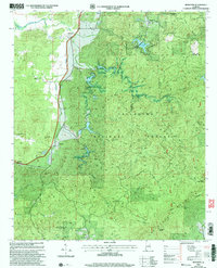 Download a high-resolution, GPS-compatible USGS topo map for Ironaton, AL (2004 edition)