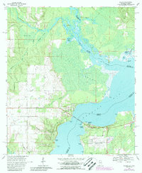 Download a high-resolution, GPS-compatible USGS topo map for Lillian, AL (1988 edition)