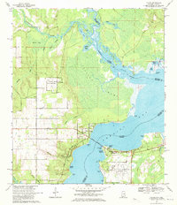 Download a high-resolution, GPS-compatible USGS topo map for Lillian, AL (1971 edition)
