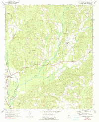 Download a high-resolution, GPS-compatible USGS topo map for Maplesville East, AL (1991 edition)