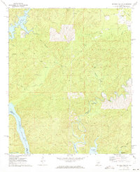 Download a high-resolution, GPS-compatible USGS topo map for Mitchell Dam NW, AL (1973 edition)