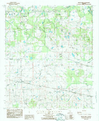 preview thumbnail of historical topo map of Montgomery County, AL in 1987