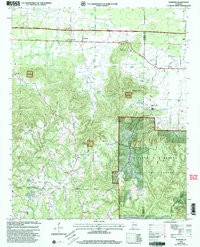 Download a high-resolution, GPS-compatible USGS topo map for Newburg, AL (2003 edition)