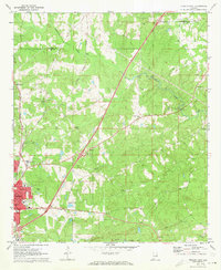 Download a high-resolution, GPS-compatible USGS topo map for Opelika East, AL (1973 edition)