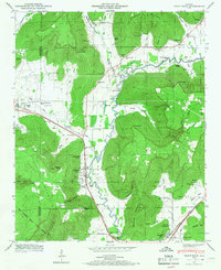 Download a high-resolution, GPS-compatible USGS topo map for Paint Rock, AL (1966 edition)